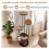 72-Inch Multi-Level Cat Condo with Top Perch, Rustic Brown 7