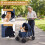 Pet Stroller for Small Dogs, Foldable with Canopy, Navy 6