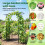 Garden Arbor with Gate, Planter Boxes & Trellis - Black Metal 2