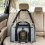 Foldable Pet Carrier with Wheels, Airline Approved, Grey 6