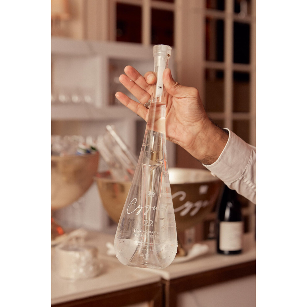 Dishwasher Rinse Aid 5L – Hard Water Formula with Built-In Descaler ...