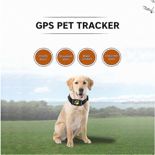 GPS Tracker για σκύλους με έξυπνο εντοπιστή για κατοικίδια: Φορητή συσκευή παρ 2