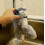 Electronic Interactive Bird Cat Toy Hanging Pet Flapping Sparrow -NEW 4