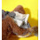 Electronic Interactive Bird Cat Toy Hanging Pet Flapping Sparrow -NEW 5