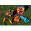 Ulkoilmapeli BattleBird - 2 melaa, 2 lintua 5