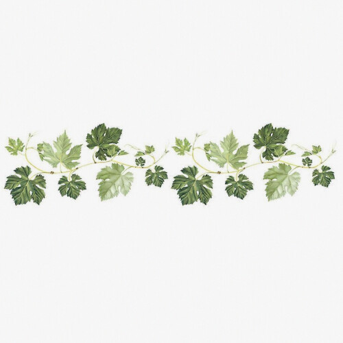 Green Plant Wall Sticker - Easy Apply For Tile Or Wall - For Bathroom