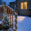 (Cool White, 50m/500LEDs) Christmas Strip Light LED String Mains Multimode 8
