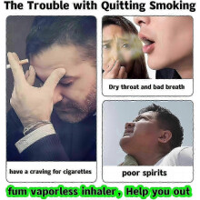 12 stuks inhalatoren om te stoppen met roken, gedragsondersteuning bij het stoppen met roken, hulpmiddel met natuurlijke munt essenti