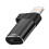 LinQ USB-C auf Lightning OTG Adapter 480 Mbps 1
