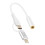 LinQ Adaptador Áudio P2 Fêmea para Lightning e USB C Macho 1