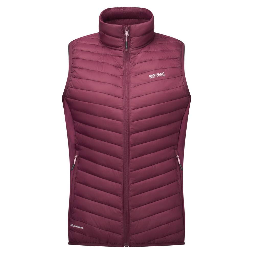 Regatta (Purple) Adults Packable Jacket Andereson Hybrid B-W Zip Fig Uk Size