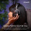 Corsair Gaming-Headset - Corsair - VOID MAX WL v2 - Carbon Kabellos 6