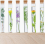 30 Clear Plastic Test Tubes with Cork Stoppers, 18 x 105 mm, for Crafts, Samples and Storage 5
