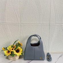 (Blue) Presbyopic print solid color, lightweight daily handbag