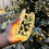 100m 1000 LED Warm White Fairy String Lights Green Wire Remote Timer 8 Modes Dimmable 1