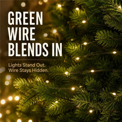 100m 1000 LED Warm White Fairy String Lights Green Wire Remote Timer 8 Modes Dimmable 1