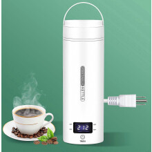 Draagbare elektrische reiswaterkoker, kleine mini-waterkoker voor thee en koffie, met 4 temperatuurstanden, gemaakt van 304 roestvrij s