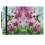 TiMOVO Universal Case for 10.1 Inch Android Tablet, Orchid and Hummingbird 2