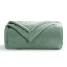 Aisbo Sage Green Throws Blanket for Sofas Single Fluffy Blanket Bed T