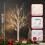 Vanthylit Set of 4 White Christmas Tree with Lights 2FT 3