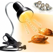 Reptile Heat Lamp for Turtles, Terrarium Heating Light, 25W or 50W, Indoor Habitat Lighting