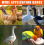 Automatic Chicken Waterer Set with Drill, Poultry Drinker Cups for Chickens, Ducks, Geese and Pigeons 3