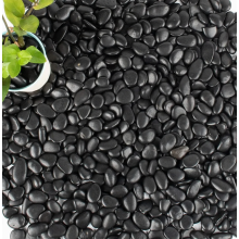 Ciottoli neri levigati per giardini rocciosi, vialetti e decorazioni da giardino, 10-20 mm, 1 kg