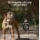 Rechargeable Remote Dog Training Collar, Three Modes, Adjustable Anti-Bark Collar for Small and Medium Dogs 3