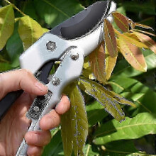 Tijeras de podar resistentes para manos débiles y artríticas, tijeras de jardinería para hombres y mujeres.
