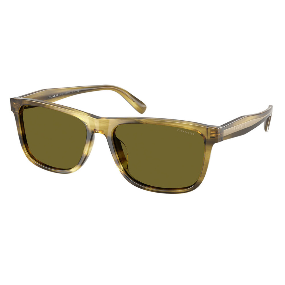 Coach Man Sunglass CDP55 - Frame color: Striated Olive, Lens color: Green Solid - Image 2