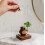 Handgemaakte houten etherische olie diffuser, houten beer etherische olie diffuser, klavertje vier voor thuis 4
