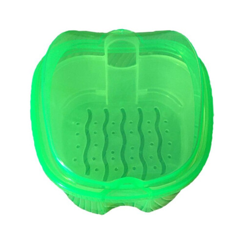 (Green)Denture Bath Box Cases Dental False Teeth Storage With Hanging Container Net