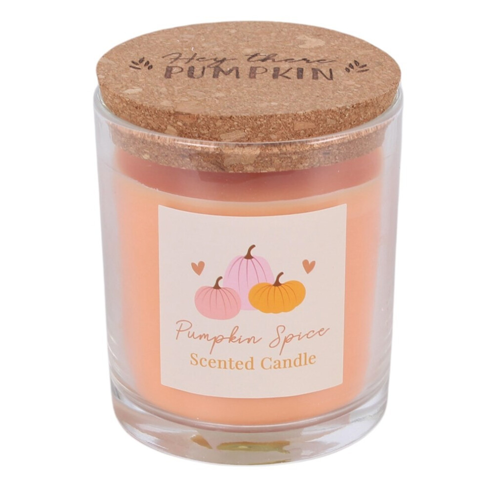 Something Different Pumpkin Pie Scented Candle