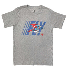 (L, Grey) Superman Unisex Adult Fly T-Shirt
