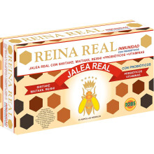 Robis Reina Real Inmunidad, conjunto de 20 ampolas, suplemento alimentar para o sistema imunitário