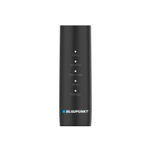 Blaupunkt DTS201BK electric toothbrush black