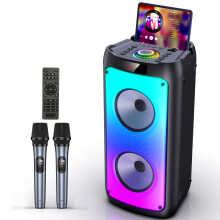 FanFun Enceinte Bluetooth sans fil, Machine de Karaoké avec 2 Microphones et Lumière LED