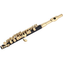Huairdum flautim pequeno C, conjunto de flautim com caixa acolchoada, dourado, para principiantes e músicos