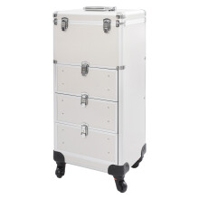Mallette de Maquillage Silver, Valise de Rangement avec Miroir Lumineux, Grande Capacité, Trolley Portable pour Artiste