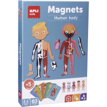 APLI Kids 18531, Jogo Magnético Educativo sobre o Corpo Humano, para crianças a partir dos 5 anos