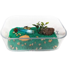Caixa de forrageio mediana para formigas, com tampa 3D, dimensões 14x8,5x5 cm