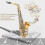 SLADE Altsaxofoon, Eb, messing, goud, voor beginners en studenten 3