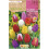 Bulbo de Tulipa, conjunto de 12, mistura de cores 1