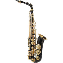 Saxofone Alto Eb, Latão com Banho de Ouro, Tipo de Chave 82Z, Preto e Dourado, Com Acessórios e Estojo