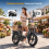 Flyrun 48V13AH 20''FatTire Electric Bike Low Frame 4