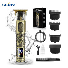 SEJOY Tondeuse Professionnelle pour Cheveux, Barbe et Corps, Rechargeable USB-C, 2 Vitesses