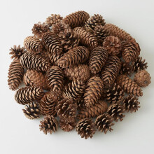 200 decorações de pinha, pinhas para artesanato, pinhas naturais