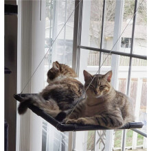 Cat Hammock Window Bed Cat Window Perch Sunny Seat for Kitty Resting Pet Bed Mounted Pet Kitten Cot Beds Upgraded Version Safety Reinforce Cat