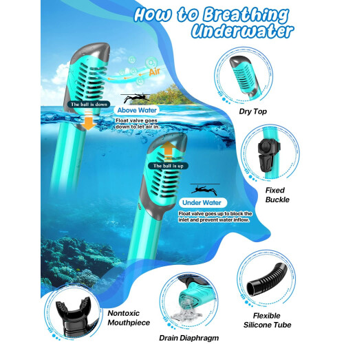 Zenoplie Snorkel Set Adults, with Flippers 2