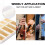 Sovvid Bb Clarinet Reeds - 10 Pack, Strength 1.5 with Plastic Box, Thinner Tip & Unfiled Cut for Easy Play 6